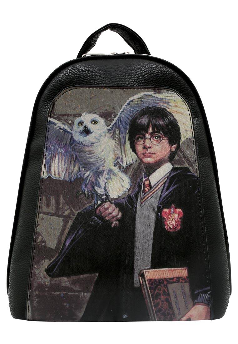 Harry And Hedwig Harry Potter | WB Tidy Bag